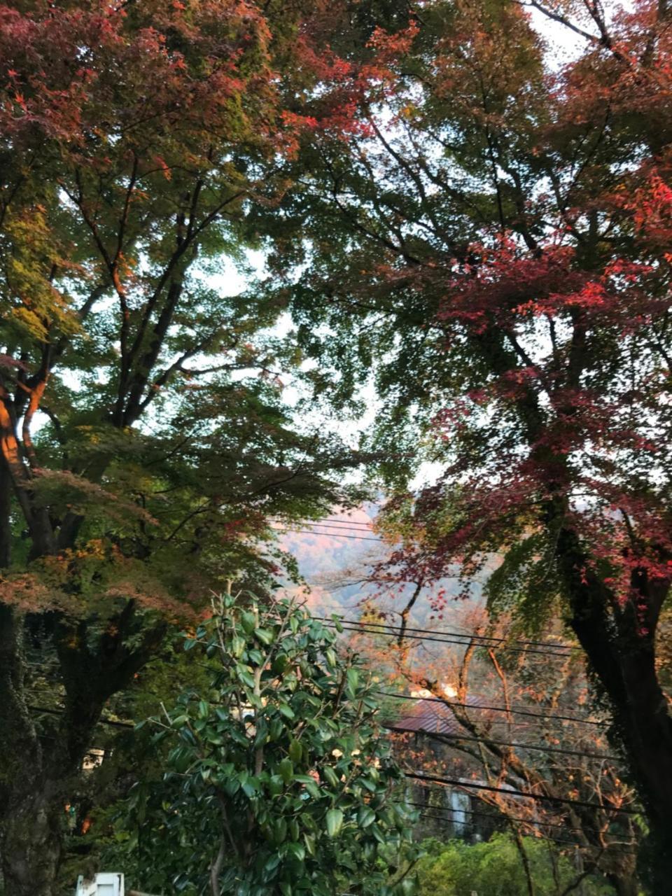 Umimoto Hotel Hakone Exterior photo